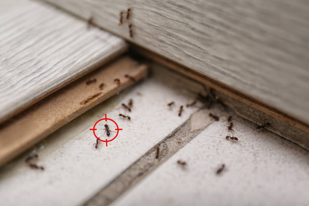 Pest Control Cost in Superior, CO