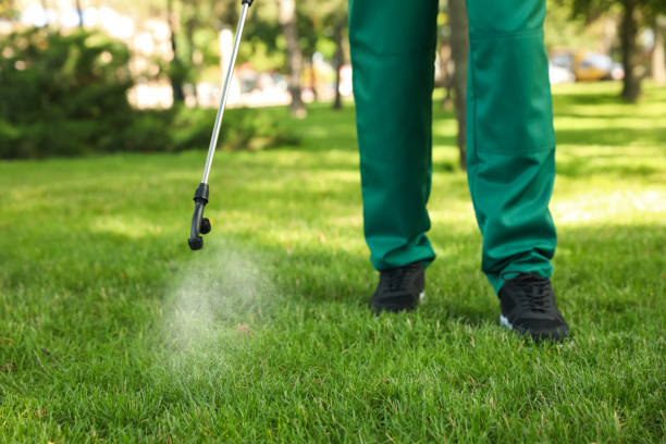 Best Local Pest Control Services  in Superior, CO