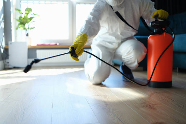 Best Flea Control Services  in Superior, CO