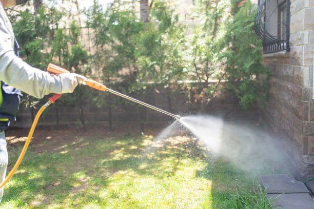 Best Commercial Pest Control Services  in Superior, CO