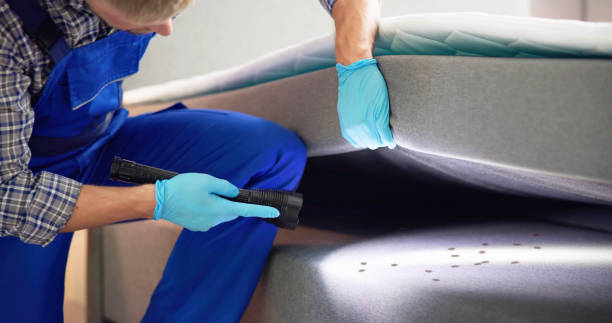 Best Commercial Pest Control Services  in Superior, CO