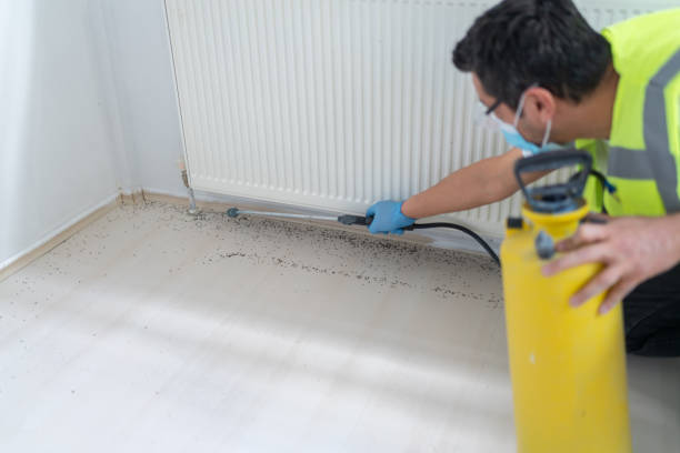 Best Pest Removal Services  in Superior, CO