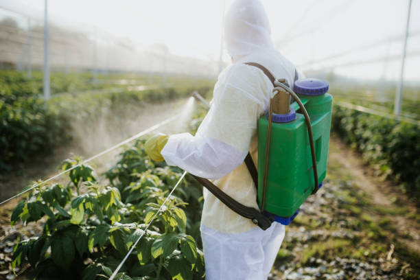Best Best Pest Control Companies  in Superior, CO